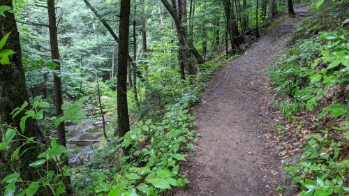 A winding dirt path through a lush green forest, with trees and foliage lining the sides and a stream visible below.