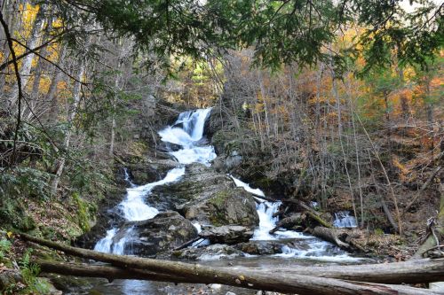 A serene waterfall cascades over rocks, surrounded by autumn foliage and trees in a peaceful forest setting.