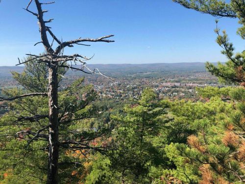 A scenic view from a mountain overlooking a colorful valley and distant town, framed by trees under a clear blue sky.