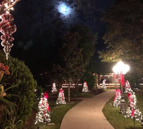 A moonlit path lined with festive, lit trees and decorations, creating a magical holiday atmosphere.