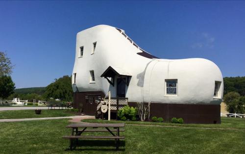 A whimsical shoe-shaped building with a white exterior, surrounded by green grass and trees under a clear blue sky.