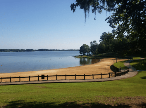A serene lake view with a sandy beach, surrounded by trees and a clear blue sky.