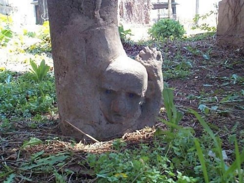 A stone sculpture resembling a face emerging from a tree trunk, surrounded by green grass and plants.