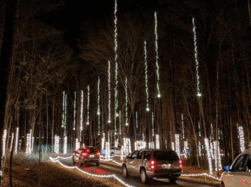 Cars driving through a forest illuminated by vertical strings of lights at night.