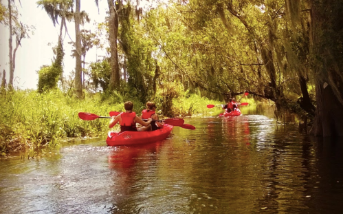 Two people in red kayaks paddle through a serene, tree-lined waterway with lush greenery.