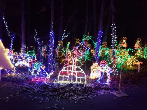 Colorful holiday lights illuminate a forest scene with festive decorations, including snowmen and a Santa figure.