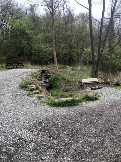 A gravel path curves through a green area with a small stream and benches surrounded by trees.