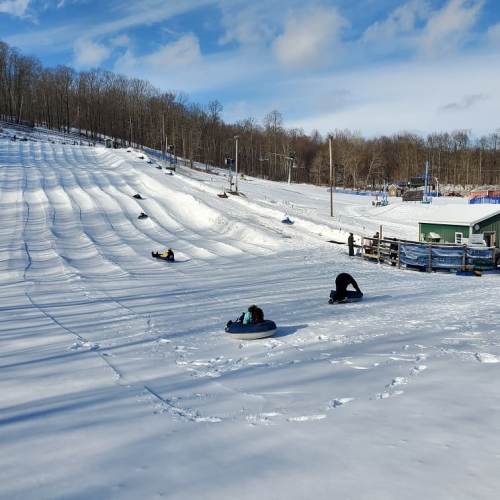 A snowy hill with several people tubing down, surrounded by trees and a clear blue sky.
