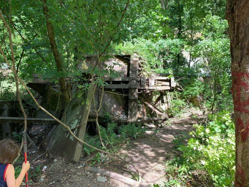 A child stands near an overgrown, rusted piece of machinery surrounded by dense greenery and trees.