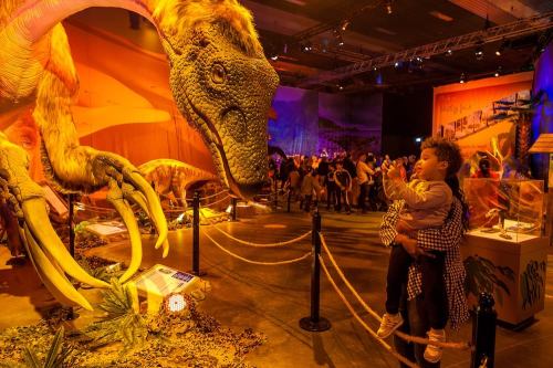 A child holds a toy dinosaur while looking up at a large dinosaur exhibit in a crowded museum setting.