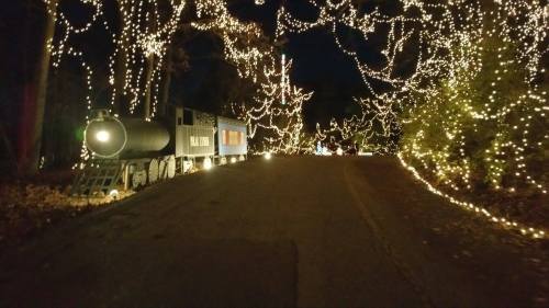 A dimly lit road lined with trees adorned with twinkling holiday lights, featuring a vintage train on the side.
