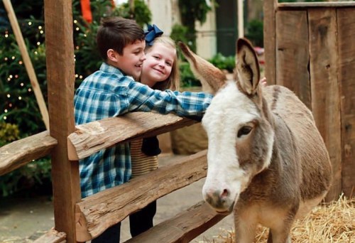 Two children smile and interact with a donkey in a festive setting with hay and holiday decorations.