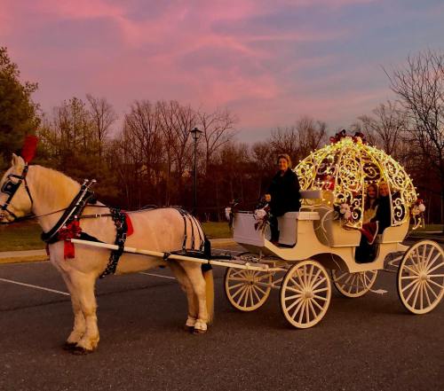 A decorated horse-drawn carriage with two passengers, set against a colorful sunset sky.