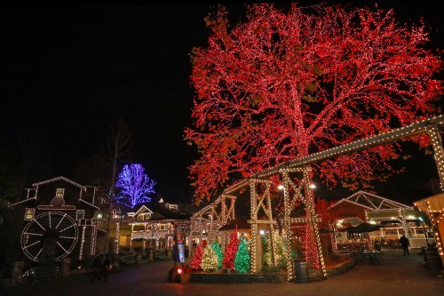 A festive scene featuring colorful holiday lights on trees and buildings in a charming outdoor setting at night.