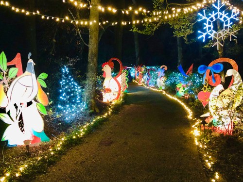 A winding path illuminated by colorful holiday lights and festive decorations among trees at night.