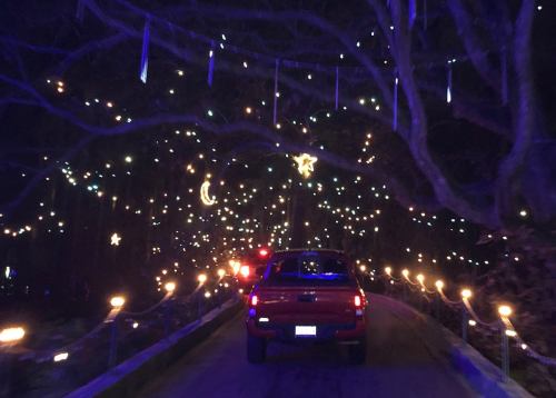 A truck drives through a beautifully lit pathway adorned with colorful lights and hanging decorations at night.