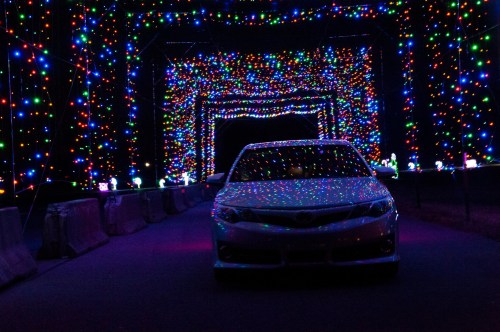 A car drives through a colorful tunnel of bright, festive lights, creating a vibrant and enchanting atmosphere.