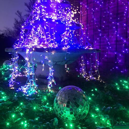 A fountain adorned with purple and blue lights, surrounded by green foliage and a reflective disco ball.