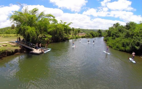 People paddleboarding on a calm river surrounded by lush greenery and a blue sky with fluffy clouds.