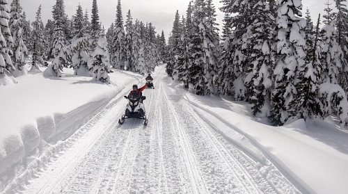Two snowmobiles ride through a snowy forest trail lined with tall, snow-covered trees.