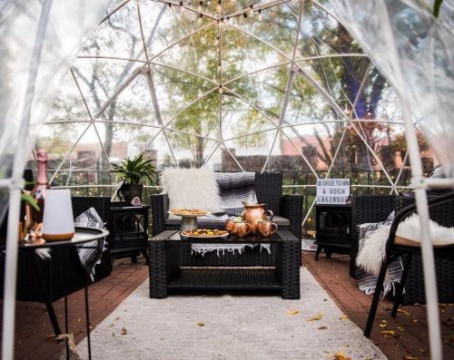 Cozy indoor dome with seating, snacks, and plants, illuminated by string lights and surrounded by greenery.