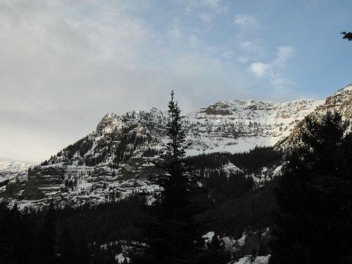 Snow-capped mountains rise against a cloudy sky, framed by evergreen trees in the foreground.