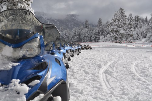 A row of blue snowmobiles parked on a snowy landscape, surrounded by trees and mountains under a cloudy sky.