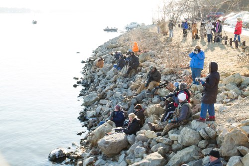 A group of people fishing along a rocky shoreline on a sunny day, with boats visible in the background.