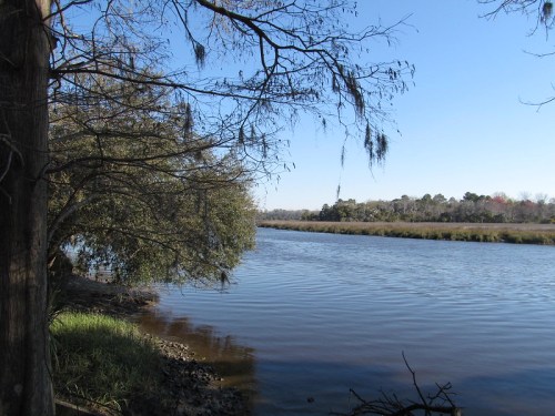 A serene river scene with trees on the bank and clear blue skies reflecting on the water.