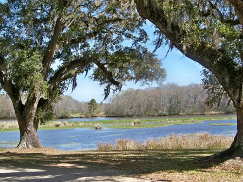 A serene landscape featuring a calm lake surrounded by trees and lush greenery under a clear blue sky.