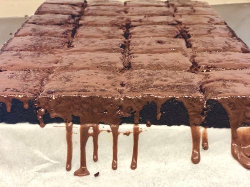 A close-up of a chocolate brownie tray, with melted chocolate dripping down the sides of the squares.