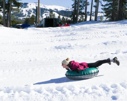 A person in a pink jacket and hat sleds down a snowy hill on a green inner tube, surrounded by trees and mountains.