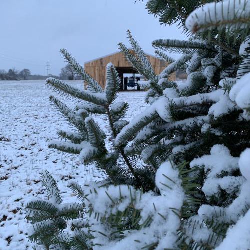 A snowy landscape with a wooden structure in the background, framed by evergreen branches covered in snow.