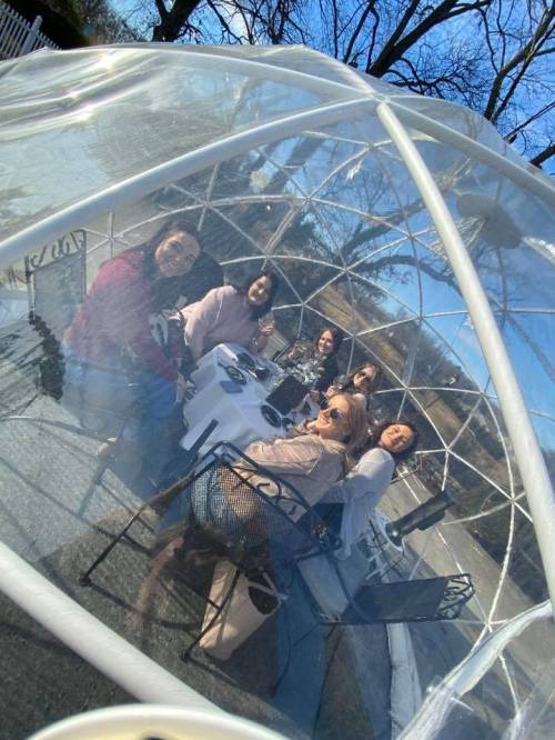 A group of six women sitting around a table inside a transparent dome, enjoying a sunny day outdoors.