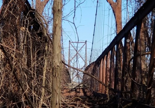 An overgrown, abandoned bridge with trees and vines obscuring the path, under a clear blue sky.