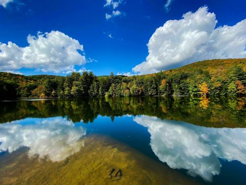 A serene lake reflects vibrant autumn trees and fluffy clouds under a bright blue sky.