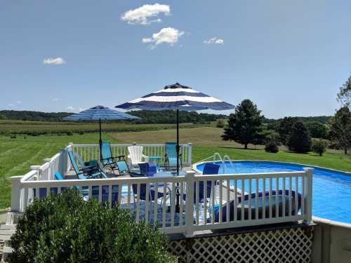 A sunny backyard with a blue pool, lounge chairs, and striped umbrellas, surrounded by green fields and trees.