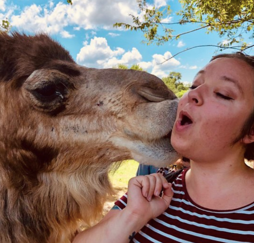 A woman playfully interacting with a camel, sharing a close moment outdoors under a blue sky.