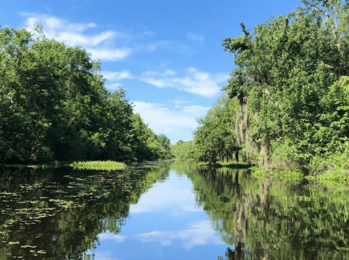 A serene river surrounded by lush greenery and trees under a clear blue sky, reflecting the landscape in the water.