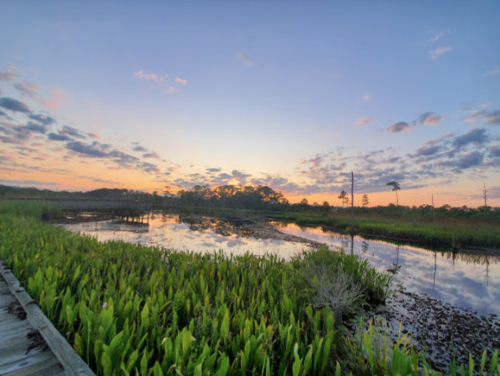 A serene sunset over a marsh, reflecting colorful clouds in the water, surrounded by lush green vegetation.
