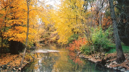 A serene river surrounded by vibrant autumn foliage in shades of yellow, orange, and green.