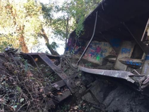 A derailed train car surrounded by overgrown vegetation and graffiti, partially resting on a slope.