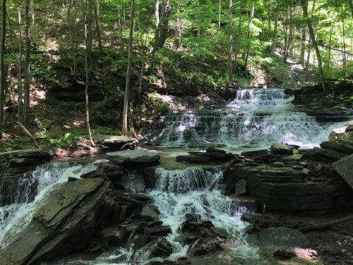 A serene waterfall cascades over rocky steps, surrounded by lush green trees in a peaceful forest setting.