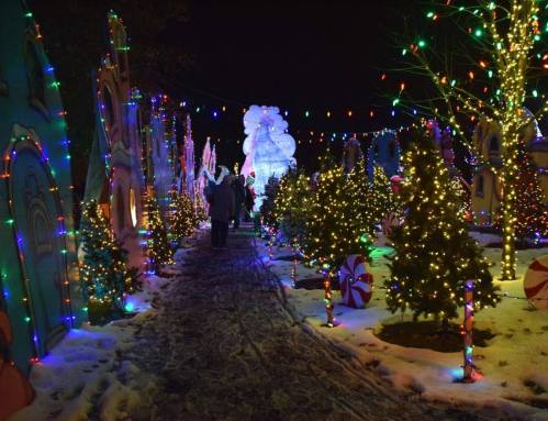 A festive pathway lined with colorful lights, decorated trees, and candy canes, creating a winter wonderland atmosphere.