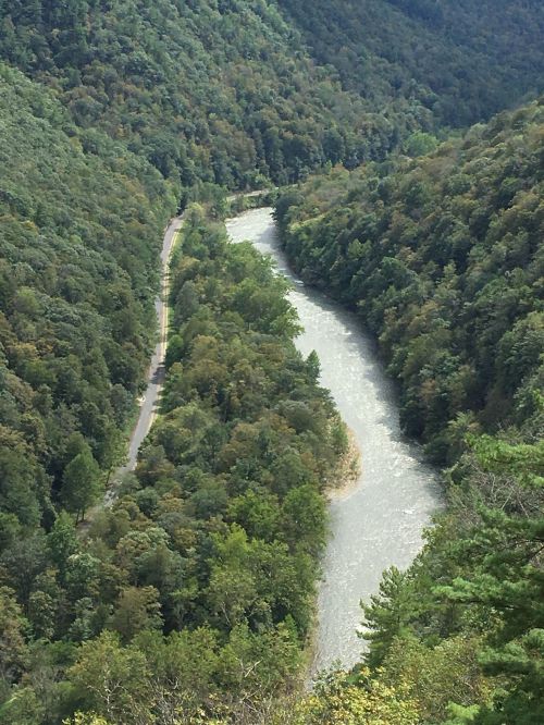 A winding river flows through a lush green valley, surrounded by dense trees and a winding road along the bank.