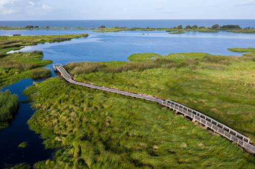 A wooden boardwalk winds through lush green wetlands, leading to a serene blue waterway under a clear sky.