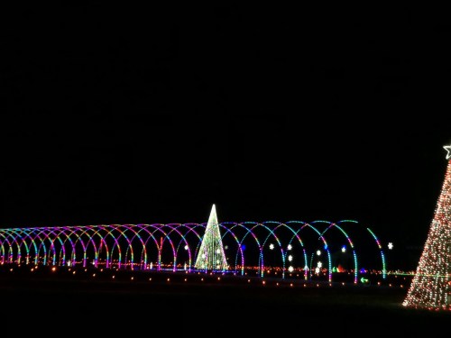 Colorful holiday lights create arches and a glowing Christmas tree against a dark night sky.