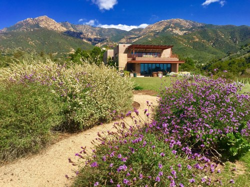A modern house surrounded by vibrant flowers and lush greenery, set against a backdrop of mountains and blue sky.
