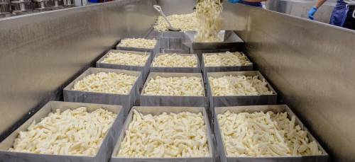 Large metal containers filled with freshly made pasta in a commercial kitchen setting.