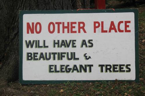 Sign reading "No other place will have as beautiful & elegant trees," placed against a tree backdrop.